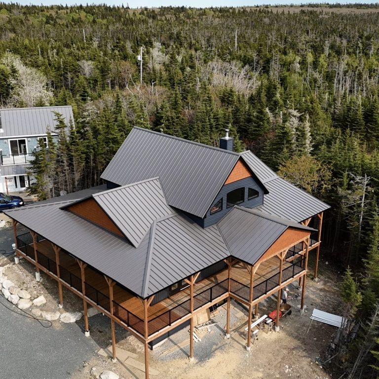 Standing seam metal roof home